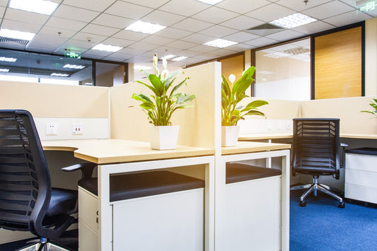 Summer Cubicle Colors from Green Plants to Name Plate Holders